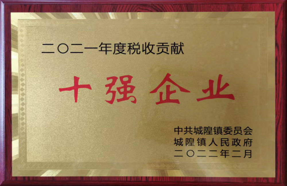 十強企業(yè)