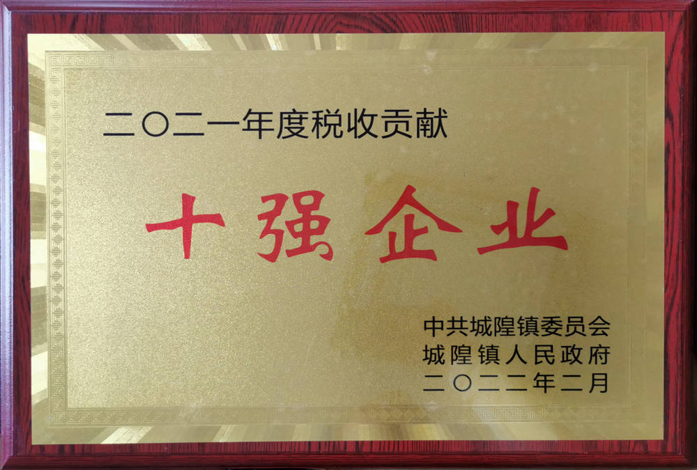 十強企業(yè)